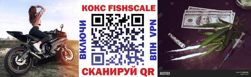 Купить  Терек  COCAIN Fish Scale 