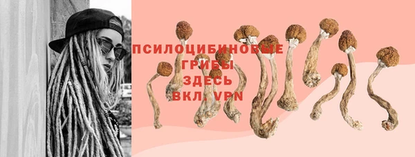 соль курить ск Лабытнанги