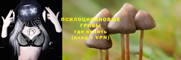 соль курить ск Лабытнанги